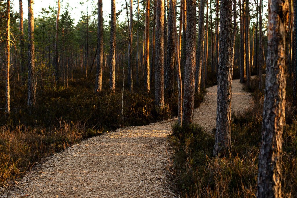 Taevaskoja February Retreat 2022